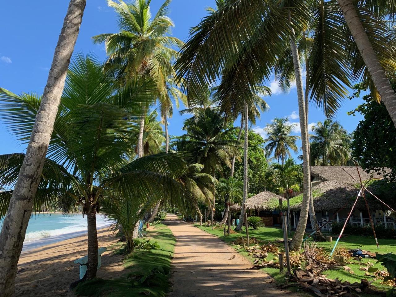 El Mosquito Boutique Hotel Playa Bonita Las Terrenas Bagian luar foto