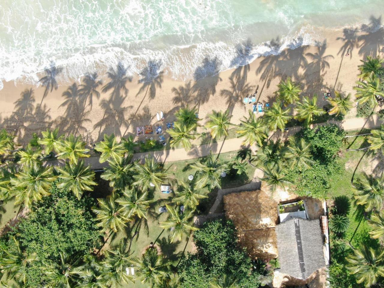 El Mosquito Boutique Hotel Playa Bonita Las Terrenas Bagian luar foto