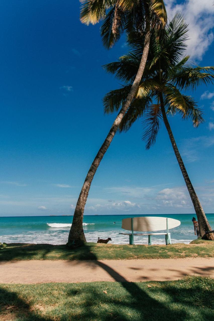 El Mosquito Boutique Hotel Playa Bonita Las Terrenas Bagian luar foto